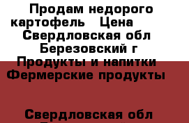 Продам недорого картофель › Цена ­ 300 - Свердловская обл., Березовский г. Продукты и напитки » Фермерские продукты   . Свердловская обл.,Березовский г.